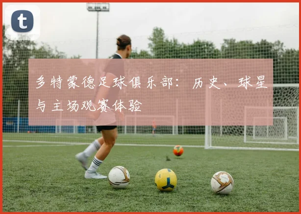 多特蒙德足球俱乐部：历史、球星与主场观赛体验