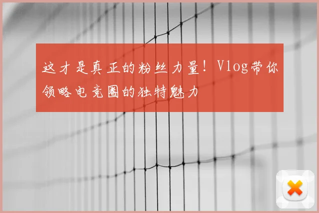 这才是真正的粉丝力量！Vlog带你领略电竞圈的独特魅力