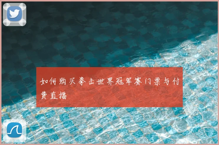 如何购买拳击世界冠军赛门票与付费直播