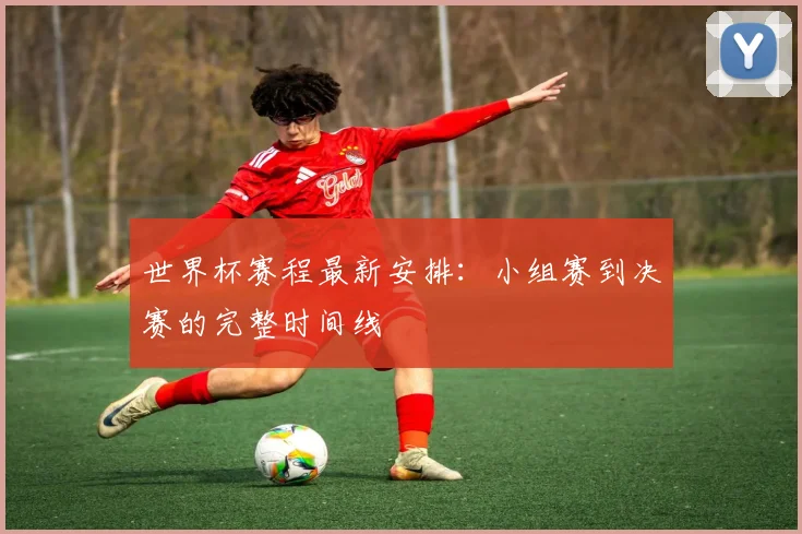 世界杯赛程最新安排：小组赛到决赛的完整时间线