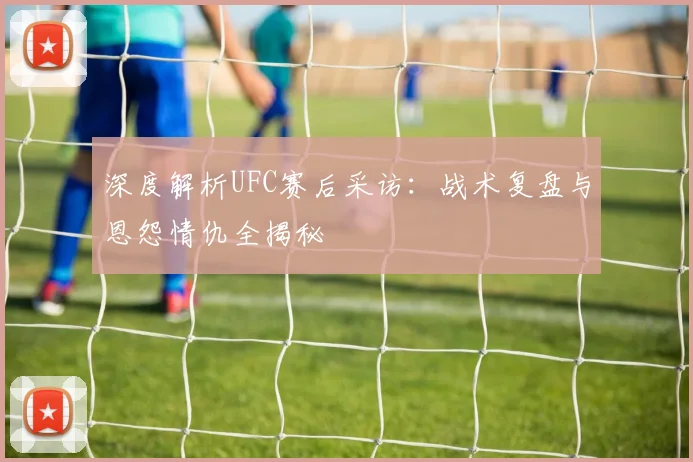 深度解析UFC赛后采访:战术复盘与恩怨情仇全揭秘