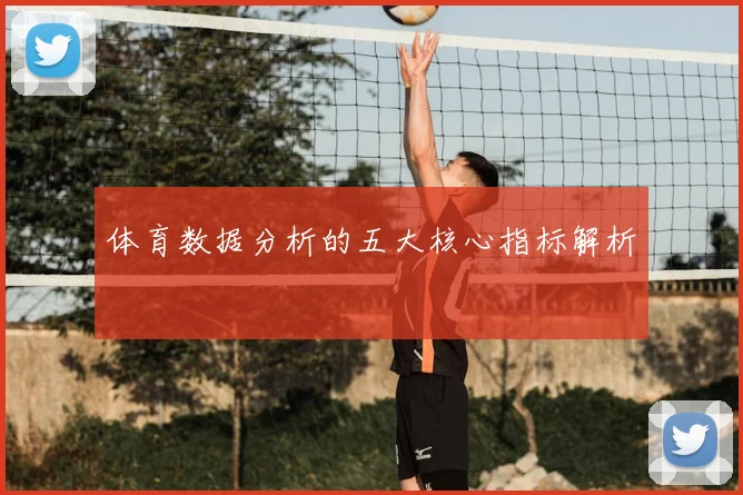 体育数据分析的五大核心指标解析