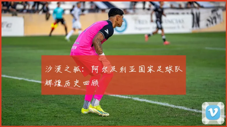 沙漠之狐：阿尔及利亚国家足球队辉煌历史回顾
