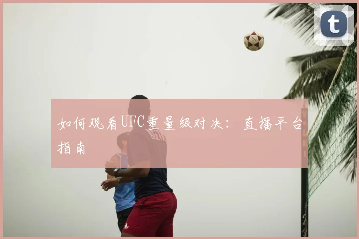 如何观看UFC重量级对决:直播平台指南